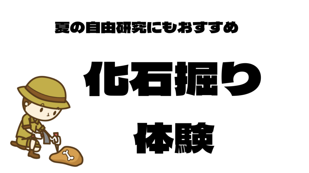 化石掘り体験できる博物館３選 夏休みの自由研究にも ちゃーちゃのおうち